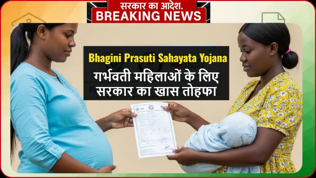 गर्भवती महिला को सहायता प्रदान करती हुई सरकारी योजना